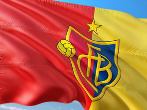 杏彩体育app-女排超级联赛强强对决比赛火爆,女排超级联赛最新战报 第2张